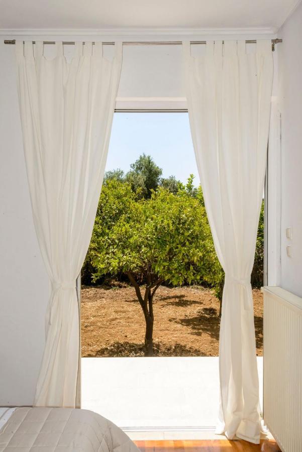 Naftilos Blue View Retreat Avía Dış mekan fotoğraf