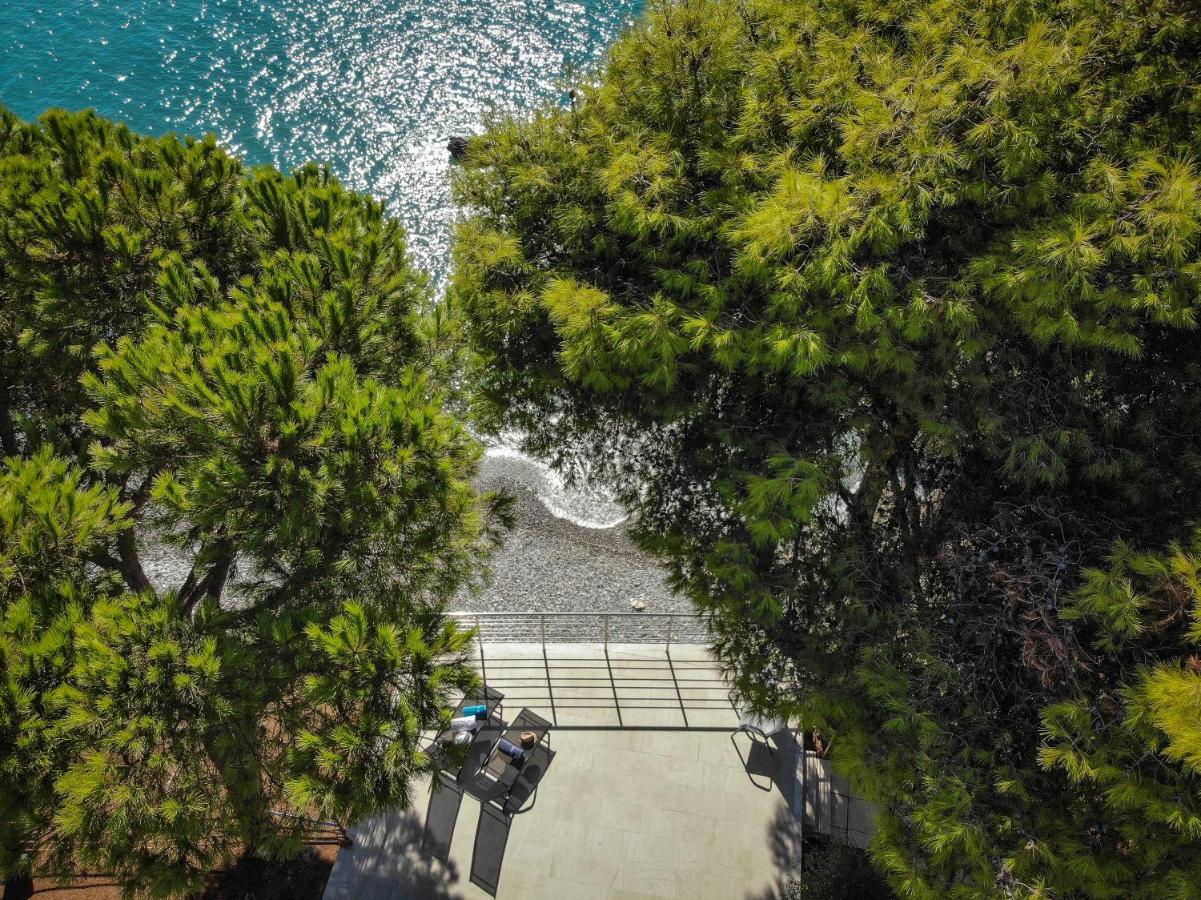 Naftilos Blue View Retreat Avía Dış mekan fotoğraf